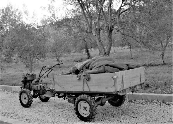 a-traditional-olive-farm-cart_S